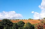 Portugalský region Alentejo